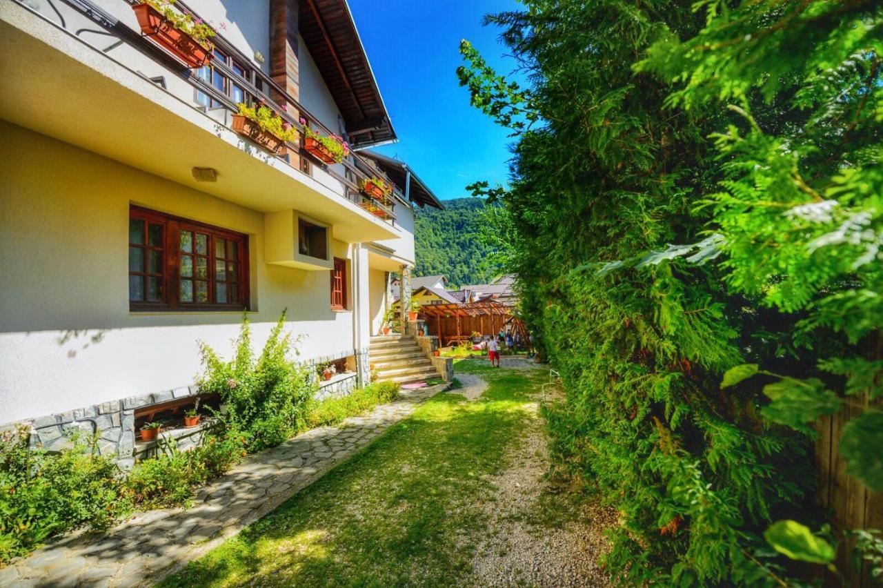 Amandra Chalet Sinaia Eksteriør bilde