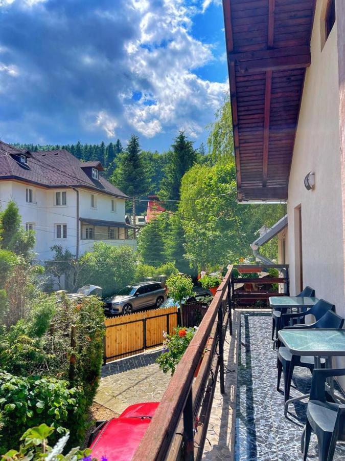 Amandra Chalet Sinaia Eksteriør bilde