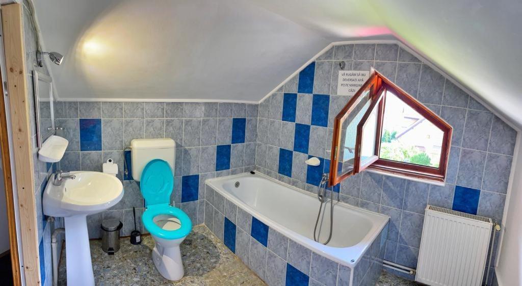 Amandra Chalet Sinaia Eksteriør bilde
